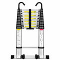 Telescopic Ladder